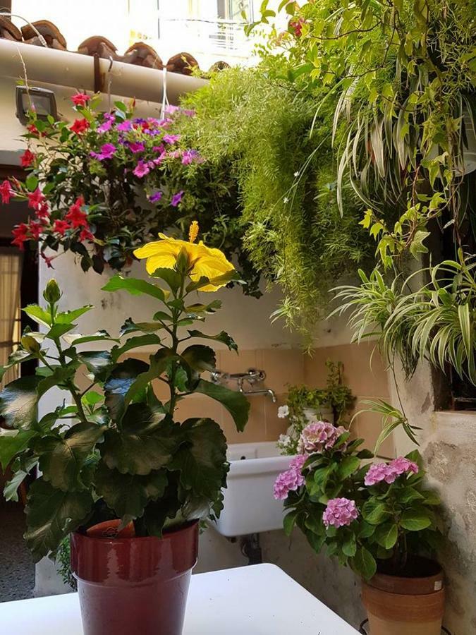 Ca' Malatin Villa Venedik Dış mekan fotoğraf